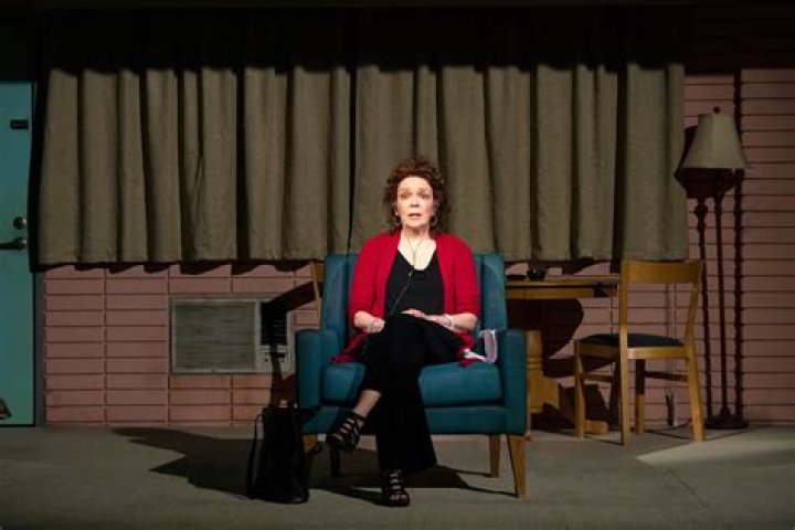 Dana Higginbotham Wikipedia- Learn About Deirdre O’Connell On The Broadway Play