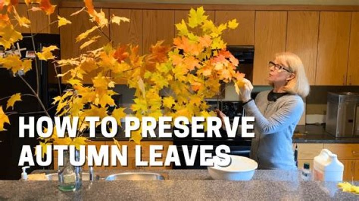 How to preserve green leaves