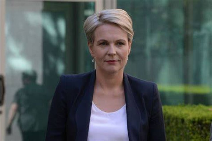 
Tanya Plibersek Height, Weight, Net Worth, Age, Birthday, Wikipedia, Who, Nationality, Biography 