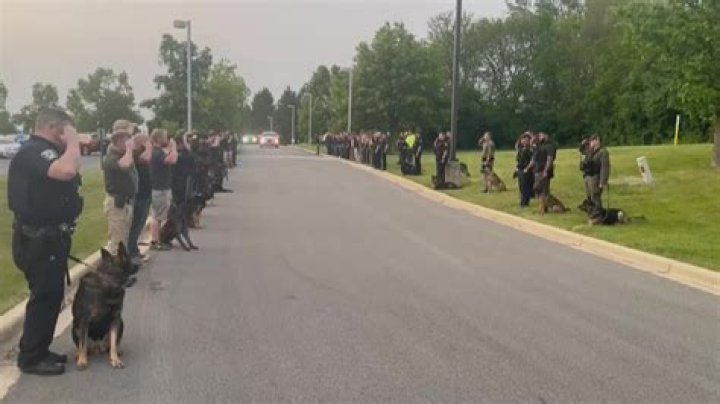 
Video shows first responders fighting dogs that killed an 80-year-old and left 3 injured in San Antonio 