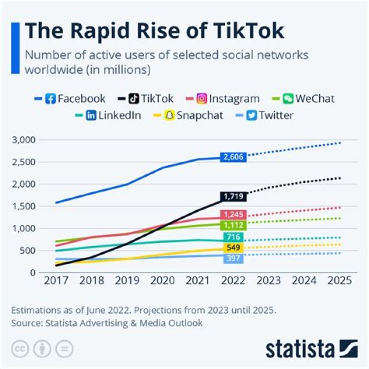 Who Is Birlap On Tiktok? Instagram & Other Social Media Details